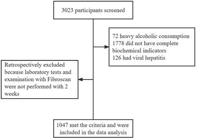 The metabolic profiles and body composition of non-obese metabolic associated fatty liver disease